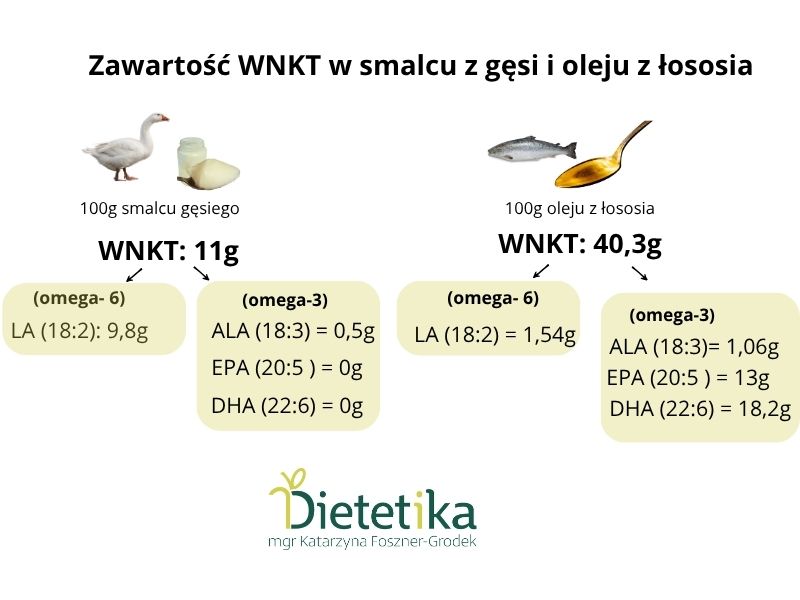 Gęsina i smalec z gęsi - czy faktycznie takie zdrowe? 5 smalec z gesi omega 3